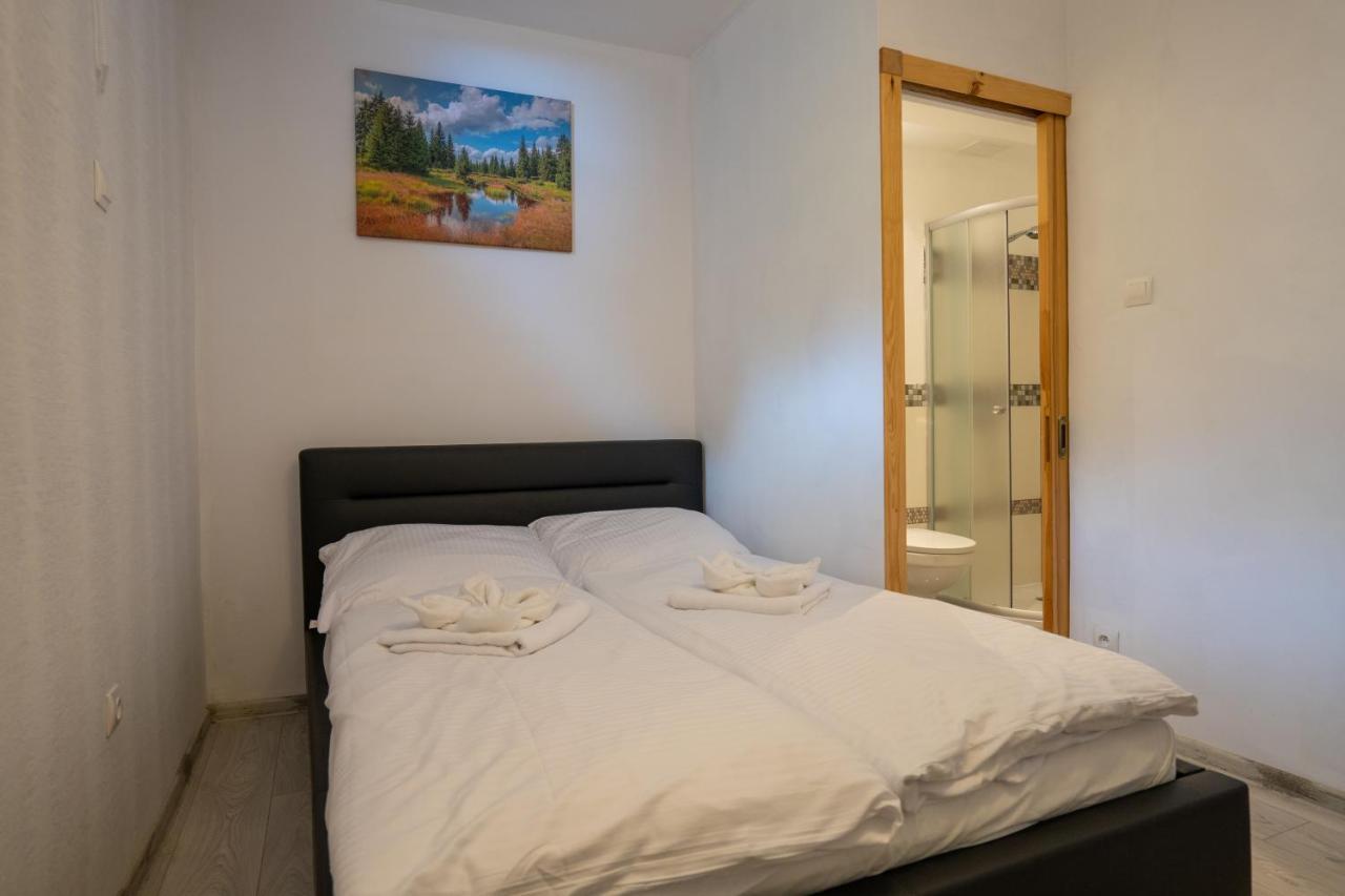 Karkonosky Apartamenty- Ściegny Exterior foto